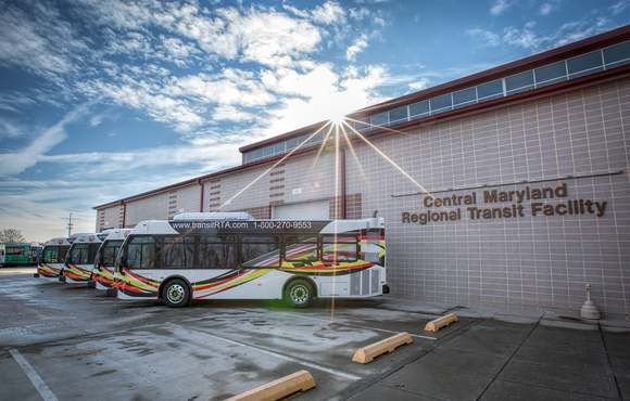 Photo of RTA Buses