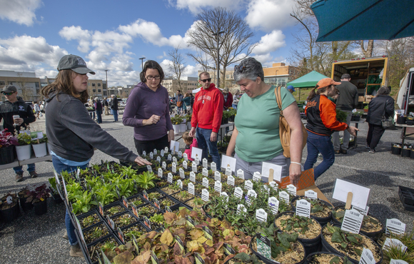 greenfest native plants 2022